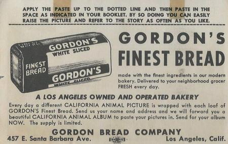1946 Gordon's Bread California Animals (D39-12) #NNO San Bernadino Chipmunk Back
