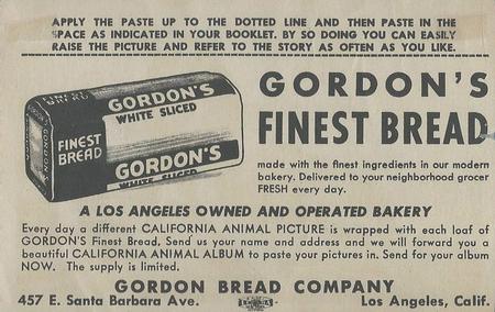 1946 Gordon's Bread California Animals (D39-12) #NNO Sea-Lion Back