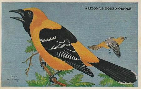 1946 Gordon's Bread California Birds - Bread Back (D39-2b) #NNO Arizona Hooded Oriole Front