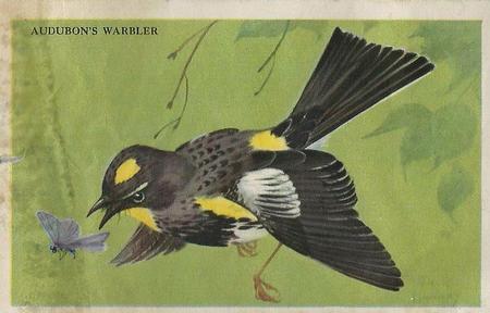 1946 Gordon's Bread California Birds - Recipe Back (D39-2a) #NNO Audubon's Warbler Front
