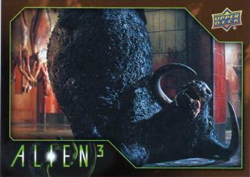 2021 Upper Deck Alien 3 #21 Cremated Front