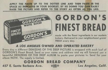 1949 Gordon's Bread Denizens of the Deep (D39-13) #NNO Sturgeon Back