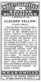 1927 Wills's British Butterflies #49 Clouded Yellow Back