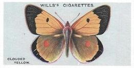 1927 Wills's British Butterflies #49 Clouded Yellow Front