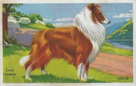 1947 Gordon's Bread Dog Pictures - Recipe Back (D39-3a) #NNO Collie Front