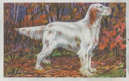 1947 Gordon's Bread Dog Pictures - Recipe Back (D39-3a) #NNO English Setter Front