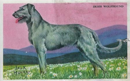 1947 Gordon's Bread Dog Pictures - Recipe Back (D39-3a) #NNO Irish Wolfhound Front
