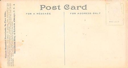 1907 Cracker Jack Bears Postcards #2 Bears dropping CJ packages Back
