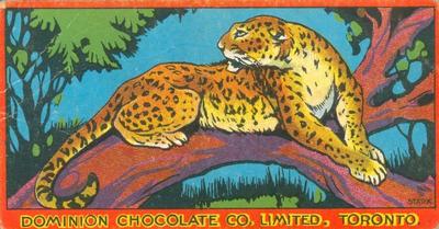 1923 Dominion Chocolates Animals (V30) #3 Leopard Front