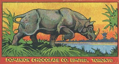 1923 Dominion Chocolates Animals (V30) #8 Rhinoceros Front