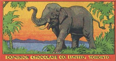 1923 Dominion Chocolates Animals (V30) #16 Elephant Front