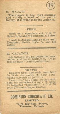 1923 Dominion Chocolates Animals (V30) #19 Macaw Back