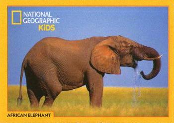 2018-19 National Geographic Kids December-January #NNO African Elephant Front