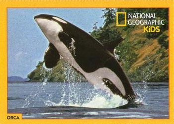 2018-19 National Geographic Kids December-January #NNO Orca Front