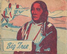 1940 W.S. Corp Indian Chiefs Type 1 (R184) #109 Big Tree Front