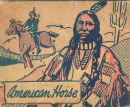 1940 W.S. Corp Indian Chiefs Type 1 (R184) #123 American Horse Front