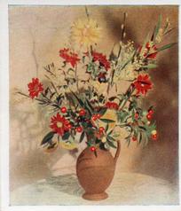 1937 Godfrey Phillips Flower Studies #28 Winter Solanum; Yellow and red Chrysanthemums Front