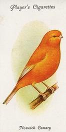 1989 Imperial Tobacco Limited 1933 Player's Aviary and Cage Birds (reprint) #1 Norwich Canary (Plainhead) Front