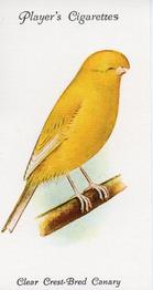 1989 Imperial Tobacco Limited 1933 Player's Aviary and Cage Birds (reprint) #3 Clear Crest-Bred Canary Front