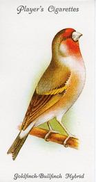 1989 Imperial Tobacco Limited 1933 Player's Aviary and Cage Birds (reprint) #18 Goldfinch-Bullfinch Hybrid Front