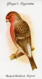 1989 Imperial Tobacco Limited 1933 Player's Aviary and Cage Birds (reprint) #19 Redpoll-Bullfinch Hybrid Front