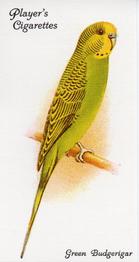 1989 Imperial Tobacco Limited 1933 Player's Aviary and Cage Birds (reprint) #20 Green Budgerigar Front