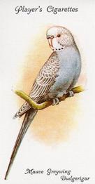 1989 Imperial Tobacco Limited 1933 Player's Aviary and Cage Birds (reprint) #23 Mauve Greywing Budgerigar Front