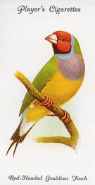 1989 Imperial Tobacco Limited 1933 Player's Aviary and Cage Birds (reprint) #32 Red-Headed Gouldian Finch Front