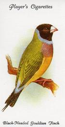 1989 Imperial Tobacco Limited 1933 Player's Aviary and Cage Birds (reprint) #33 Black-Headed Gouldian Finch Front