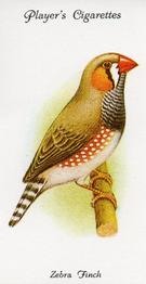 1989 Imperial Tobacco Limited 1933 Player's Aviary and Cage Birds (reprint) #34 Zebra Finch Front
