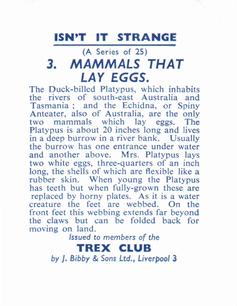 1955 Bibby & Sons Isn't It Strange #3 Mammals that Lay Eggs Back