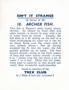 1955 Bibby & Sons Isn't It Strange #10 Archer Fish Back