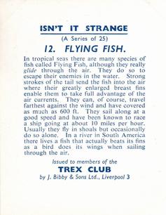1955 Bibby & Sons Isn't It Strange #12 Flying Fish Back
