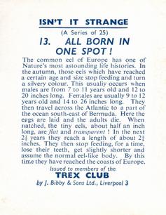 1955 Bibby & Sons Isn't It Strange #13 All Born in One Spot! Back