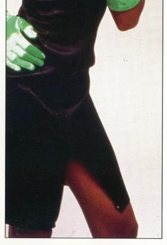 1988 Panini Smash Hits Stickers #76 Whitney Houston Front