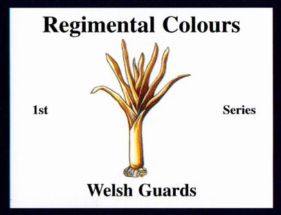2009 Regimental Colours : Welsh Guards #NNO Title Card Front