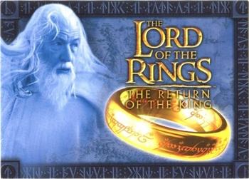2003 Topps Lord of the Rings: The Return of the King Special Limited Edition (UK) #N01 Checklist Front