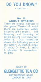 1970 Glengettie Tea Do You Know? #19 About Oysters Back