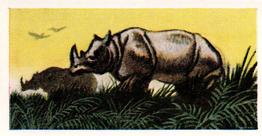 1956 Dryfood Ltd Animals of the World #13 Rhinoceros Front