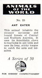 1956 Dryfood Ltd Animals of the World #25 Ant Eater Back