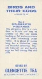 1970 Glengettie Tea Birds and Their Eggs #3 Red-Breasted Merganser Back
