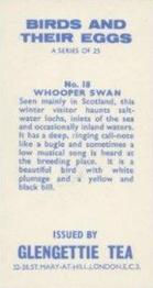 1970 Glengettie Tea Birds and Their Eggs #18 Whooper Swan Back