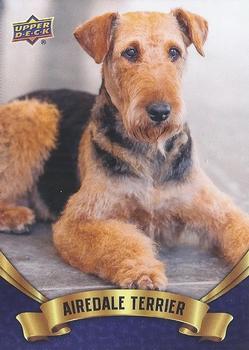 2019 Upper Deck Canine Collection - Blue #121 Airedale Terrier Front