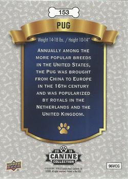 2019 Upper Deck Canine Collection - Blue #153 Pug Back