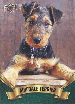 2019 Upper Deck Canine Collection - Puppy Variant #301 Airedale Terrier Front