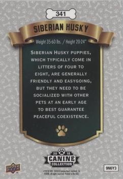 2019 Upper Deck Canine Collection - Puppy Variant #341 Siberian Husky Back