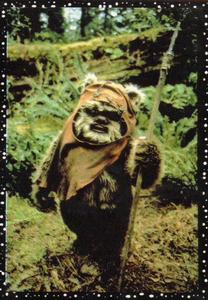 1996 Panini Star Wars Stickers #I Wicket Front