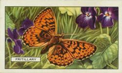 1938 Gallaher Butterflies and Moths #1 Fritillary Front