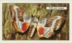 1938 Gallaher Butterflies and Moths #2 Poplar Hawk Front