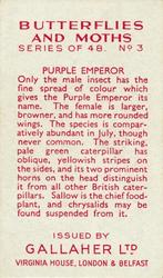 1938 Gallaher Butterflies and Moths #3 Purple Emperor Back